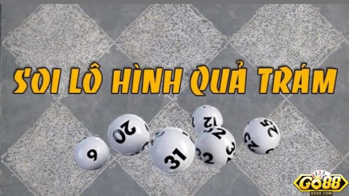 Soi Cầu Quả Trám Là Gì? 4 Lưu Ý Bắt Cầu Quả Trám