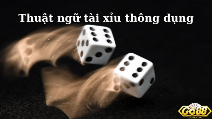 Nắm Ngay Những Thuật Ngữ Tài Xỉu Thường Sử Dụng