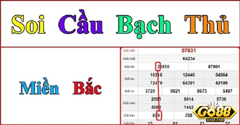 Phương pháp nuôi bạch thủ từ các lô thủ 